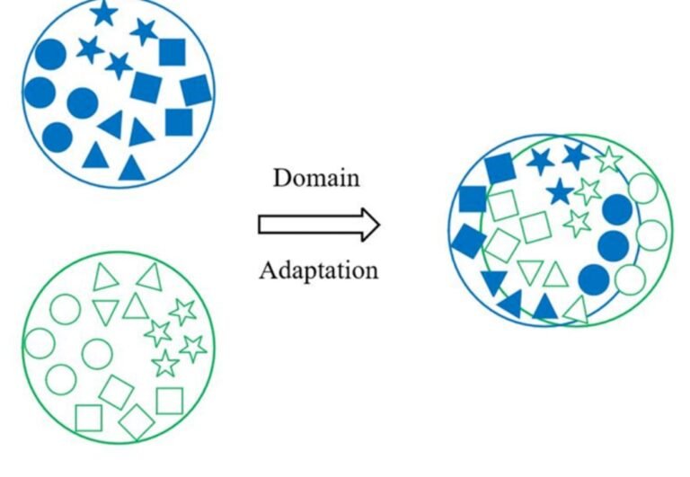 Transfer Learning and Domain Adaptation: Leveraging Pre-Trained Models to Accelerate Performance on New, Related Tasks