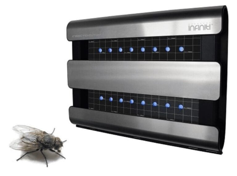 Pest Control for Flies