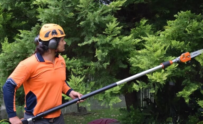 Reliable Tree Care Solutions for Sydney Homes and Businesses Tree Care Solutions